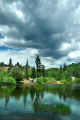 lake in the forest