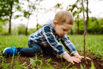 Fun little gardener. Smiling child plants young tree on black soil. Planting a family tree. Spring concept, nature and care.