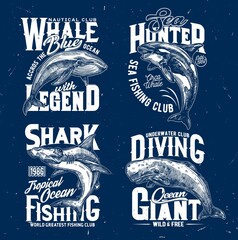 Trophy fishing and ocean diving club t-shirt print template. Blue whale, orca or killer whale and hammerhead shark, cachalot engraved vector. Clothing prints with ocean big mammal and marine predator © Vector Tradition