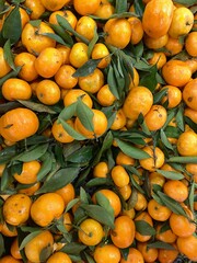 Oranges Photos for Background