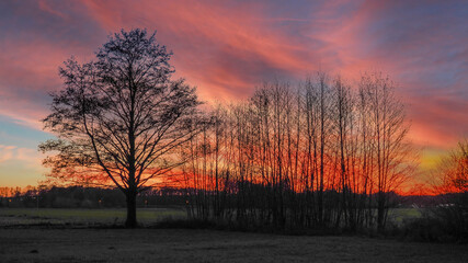 Obraz na płótnie Canvas Baumgruppe vor farbigem Himmel nach dem Sonnenuntergang