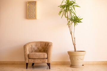 Brown retro armchair stands near green flower in pot. Modern beige interrior