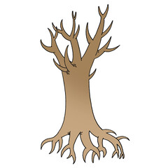 Tree illustration, tree trunk, color illustration, white background