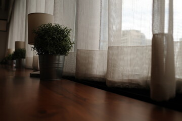 focus on a plastic tree in flowerpot decorated on the wooden table in the office near the window