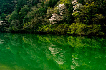 笠置峡
　リフレクション
