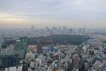 Fototapeta na wymiar 東京新宿超高層ビル街の遠景