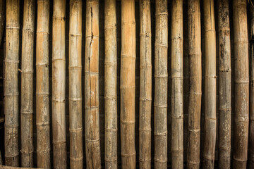 bamboo fence