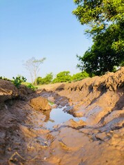 Mud water channel passing through a kinnow orchard © Shoaib