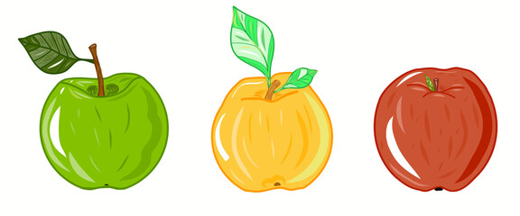 Set of green, red, yellow apples icon illustration. Idea for decors, logo, ornaments, wallpapers, gifts, damask, paper, templates, celebrations, summer holidays, natural fruit themes. Isolated vector.