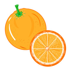 Colorful orange citrus fruit illustration. Idea for decors, ornaments, logo, gifts, damask, paper, covers, templates, celebrations, summer spring holidays, natural fresh themes. Isolated vector art.