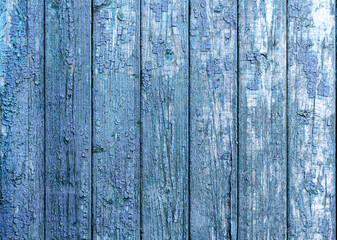 Fototapeta na wymiar blue wood background with peeled paint