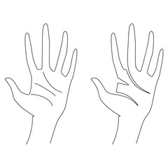 Woman's hand gestures. One line drawing. Vector illustration. Grace and mannerism