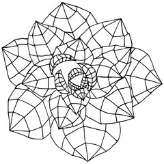 Beautiful doodle art flowers. Circle zentangle floral pattern.
