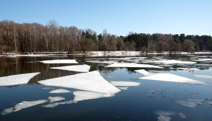 Natural landscape with ice floes adrift on the spring river and forest trees on opposite bank under cloudless blue sky on sunny day panoramic view