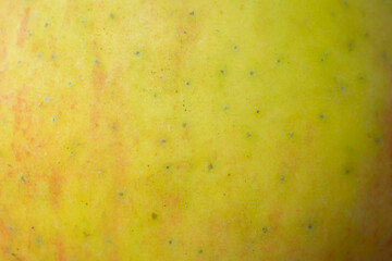 Fototapeta na wymiar red and yellow apple skin with visible details