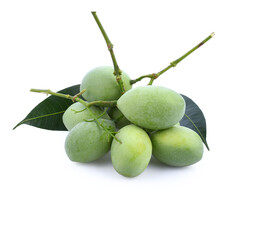 Marian Plum, (Bouea macrophylla Griffith).