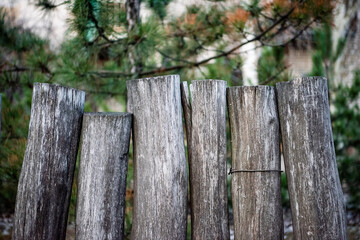 A fence made of logs in the forest under the spruce. Close-up. Copy space.