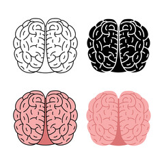 Human brain vector illustration isolated on white background