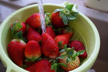 strawberries in a colander are washed off
