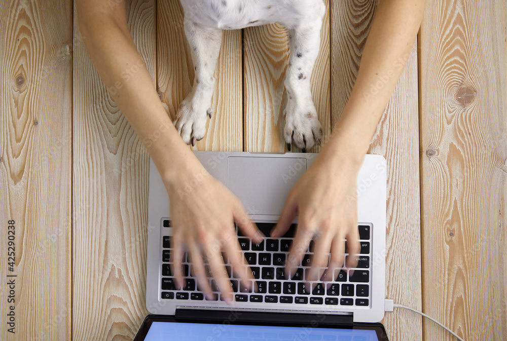 Aufkleber Image of woman’s hands typing fast on laptop keyboard with dog’s paws on same tabletop. View from above. Remote work from home concept image.