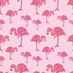 Seamless pattern. Flamingos. Doodle. Contour bird. Contour. Pink flamingo. Pink color