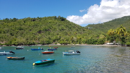 Fototapeta na wymiar a bay with boats in Guadeloupe 