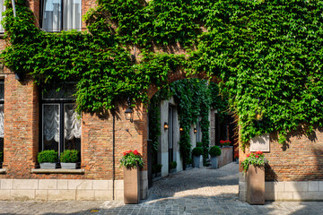 Fototapeta na wymiar Arch way in street of Bruges
