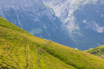 The Grindewald Valley and mountain pastures in Switzerland 