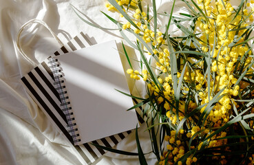 Holiday and celebration. Spring holidays. Top view of opened blank notebook with yellow acacia bouquet on white bed sheets. Hard sun light coming from window