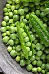 Fresh green peas. Close-up. Top view. Fresh green peas pods and green peas in bowl. 