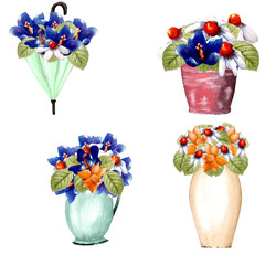 Set of watercolor spring flowers in pots illustrations, perfect to use on the web or in print