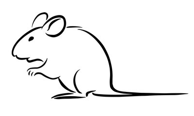 Rat sketch image on white background