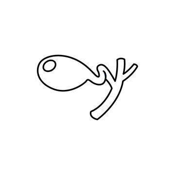 Human organ gall bladder color line icon. Pictogram for web page, mobile app