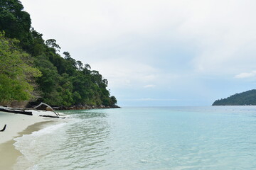 Naklejka premium landscape of gead wood and sea from monkey island travel location in Thailand