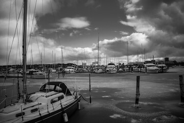 boats in the harbor