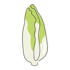 Peking cabbage is drawn by one continuous line. A healthy vegetable. The object is drawn with a single line in the doodle style. Farm market product. One continuous single drawn line art doodle food