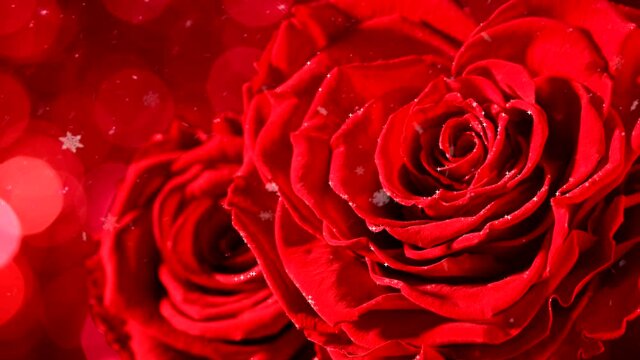 coraz&oacute;n, amor, valent&iacute;n, rojo, decoraciones, romance, vacaciones, abstracta, coraz&oacute;n, ilustraci&oacute;n, cardar, celebraciones, navida, romanticas, diurna, figura, s&iacute;mbolo, valent&iacute;n, designio, arte, 14 de f