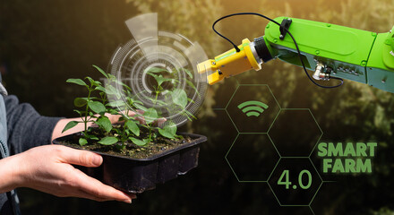 The robot works in a greenhouse with plants. Smart greenhouse growing plants. Infographics.