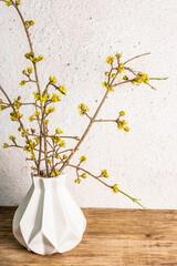 Blooming twigs of dogwood in a ceramic vase on a stone background