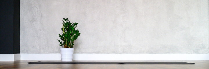 the interior of the studio room for yoga, a rubber mat and a plant zamioculcas on the wooden floor...