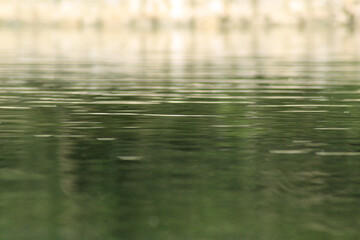 reflection in water