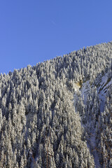The harsh beauty of the Caucasus Mountains