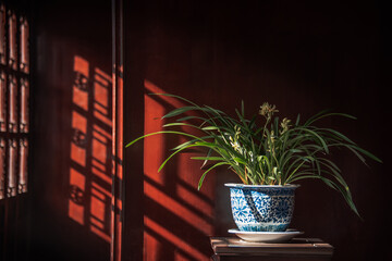 porcelain view in ancient room.this porcelain is from old era