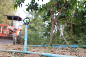 Fototapeta premium Sprinklers are used to water the plants.
