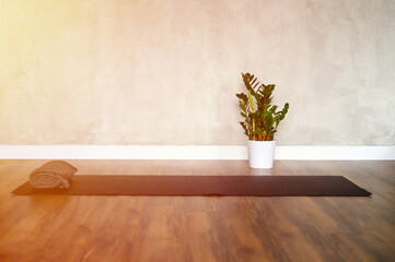 the interior of the studio room for yoga and stretching, a rubber mat and a plant zamioculcas on the wooden floor against the background of a gray concrete wall. minimal style. space for text. flare