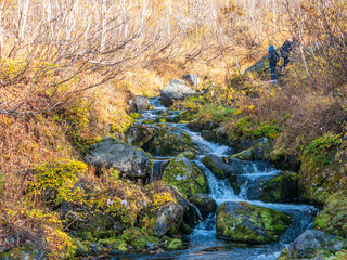 Waterfall near the Vachkazhets mountain range. Water flows over the stones against the backdrop of autumn grass and forest. Kamchatka Peninsula, Russia.