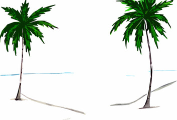 Frame of two palm trees on a white background