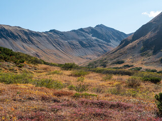 View of the Vachkazhets mountain range. Golden autumn beautifies trees, mountains and hills. Kamchatka Peninsula, Russia.