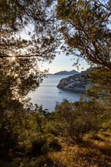 Port d'Andratx, Port of andratx, mallorca,spain