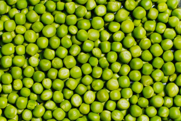 Green peas close up. Green peas texture. Healthy eating seeds of green vegetable pod. Full frame of green peas.